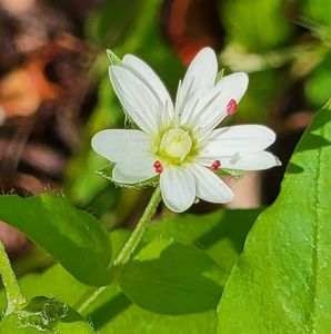 Meet your Posher, Katy